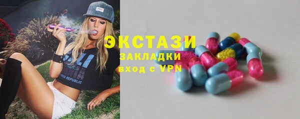 гашик Алексин