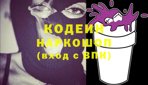 гашик Алексин