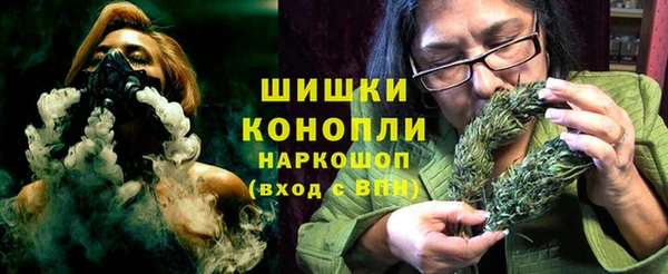гашик Алексин